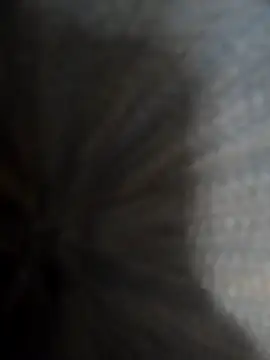 safadomoreno online show from December 20, 2025, 4:37 am