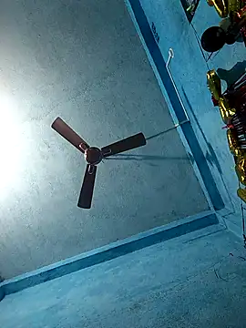 BlackCobraOwner online show from February 8, 2026, 12:47 pm