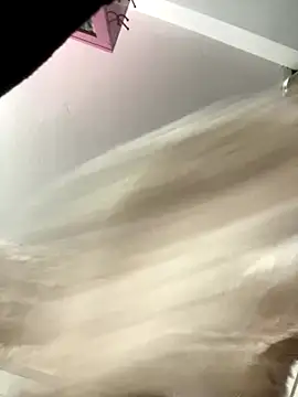 Snapshot of Pyy07 chatting on November 9, 2025, 12:31 pm Pyy07 online show from November 9, 2025, 12:31 pm