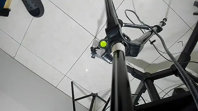 Alisha Evans Rs online show from October 29, 2025, 3:55 pm