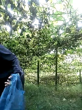 ngan-cute online show from October 14, 2025, 11:25 pm