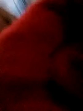 Snapshot of bing-bing88 chatting on February 12, 2026, 1:55 pm bing-bing88 online show from February 12, 2026, 1:55 pm