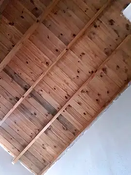 Alex 404040 online show from October 21, 2025, 7:35 pm