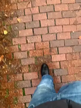 Snapshot of GeilerHSVFAN1989 chatting on November 14, 2025, 2:21 pm GeilerHSVFAN1989 online show from November 14, 2025, 2:21 pm