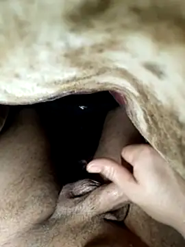 radois54 online show from February 11, 2026, 4:45 am