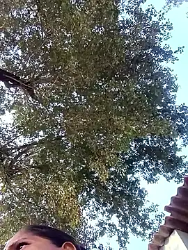 Hot-honi online show from January 10, 2026, 11:16 am