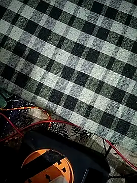 sexy  girls98 online show from November 11, 2025, 7:52 pm