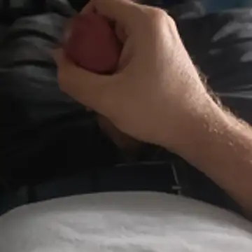 stunning stallion online show from October 24, 2025, 9:25 pm