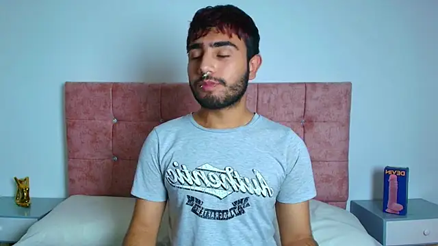 Ares Alpha online show from November 12, 2025, 9:07 pm