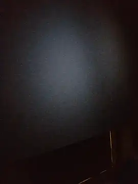 948197 online show from November 12, 2025, 4:11 pm