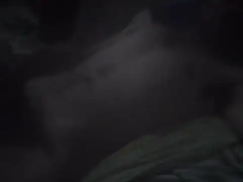 Deivid32t online show from November 23, 2025, 2:43 am