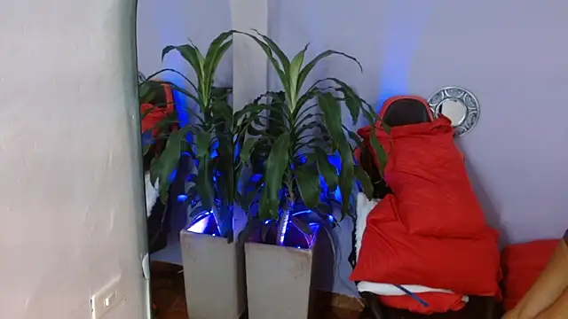 ivy scorpio online show from October 15, 2025, 5:50 am