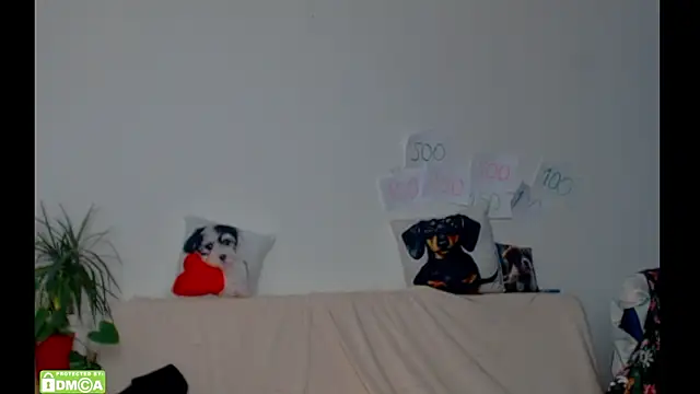 ZeinMiracles online show from February 17, 2026, 8:39 pm