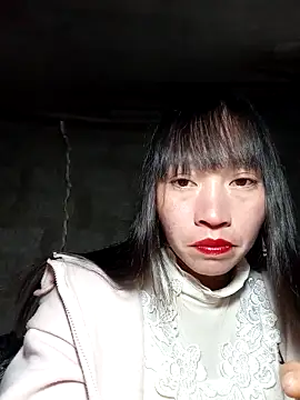 tcm-cute online show from November 13, 2025, 1:04 pm