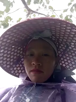 tcm-cute online show from November 8, 2025, 9:46 am