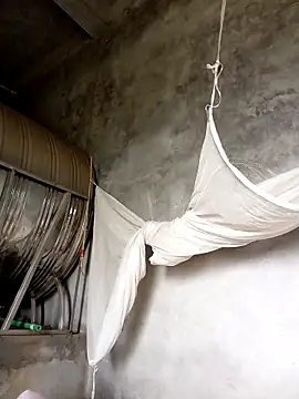 tcm-cute online show from October 3, 2025, 4:58 am