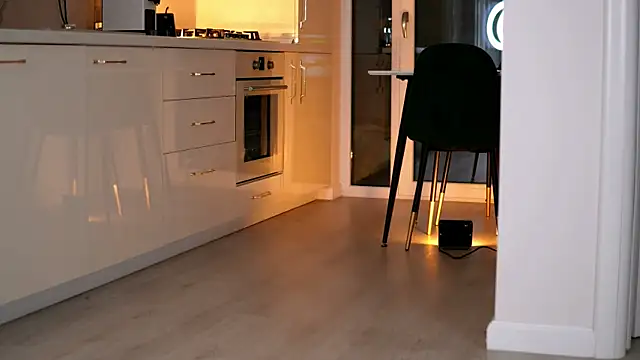 Snapshot of ElaraShine chatting on February 24, 2026, 8:31 pm ElaraShine online show from February 24, 2026, 8:31 pm