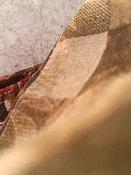 Payal950 online show from February 7, 2026, 7:49 am