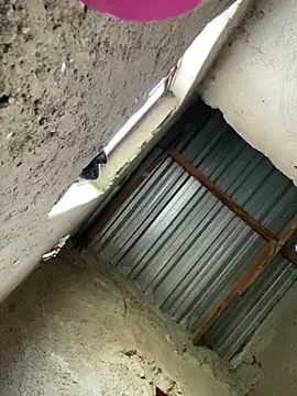 Snapshot of Curvycandy95 chatting on March 4, 2026, 5:37 am Curvycandy95 online show from March 4, 2026, 5:37 am