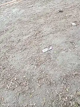 Snapshot of Dasdhon chatting on November 18, 2025, 10:18 am Dasdhon online show from November 18, 2025, 10:18 am