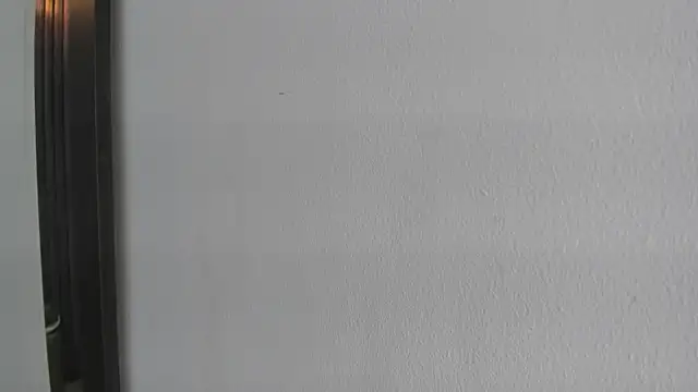 roxana santini online show from November 4, 2025, 3:16 pm