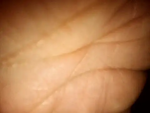 MikeMister online show from April 7, 2026, 6:48 am