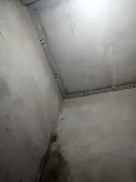 Lilyy-y online show from November 18, 2025, 9:29 pm