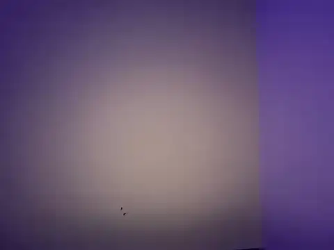 Snapshot of LustyDuoSecrets chatting on November 11, 2025, 6:25 pm LustyDuoSecrets online show from November 11, 2025, 6:25 pm