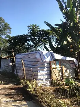 Qansin online show from November 28, 2025, 1:06 am