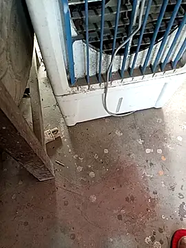 Snapshot of AglowShape chatting on November 24, 2025, 2:44 am AglowShape online show from November 24, 2025, 2:44 am