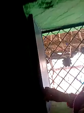 Manavi x online show from November 15, 2025, 10:30 am