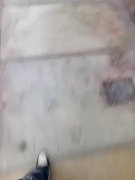 Bebicho14 online show from February 11, 2026, 11:21 am