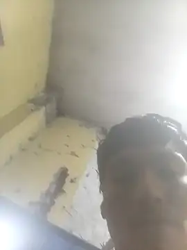 Bebicho14 online show from November 20, 2025, 5:30 am