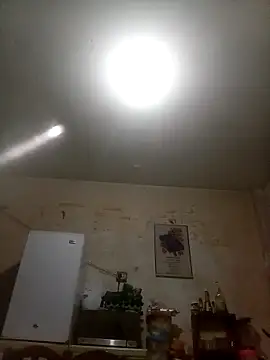 Bebicho14 online show from October 20, 2025, 4:14 am