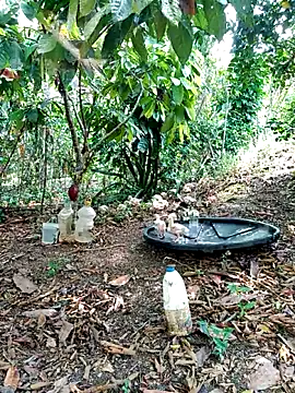 AlphaAlterX online show from March 2, 2026, 3:52 pm