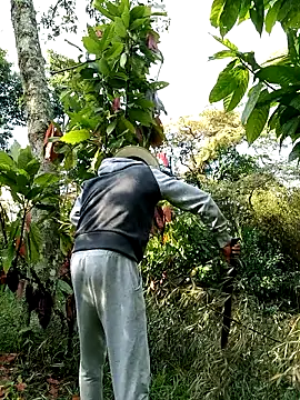 Snapshot of AlphaAlterX chatting on February 28, 2026, 1:22 pm AlphaAlterX online show from February 28, 2026, 1:22 pm