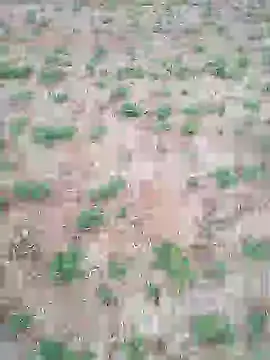 Snapshot of Susila_ji chatting on July 17, 2026, 1:08 pm Susila ji online show from July 17, 2026, 1:08 pm