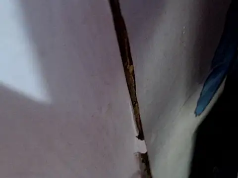 MissfrancesXxx online show from March 7, 2026, 11:38 am