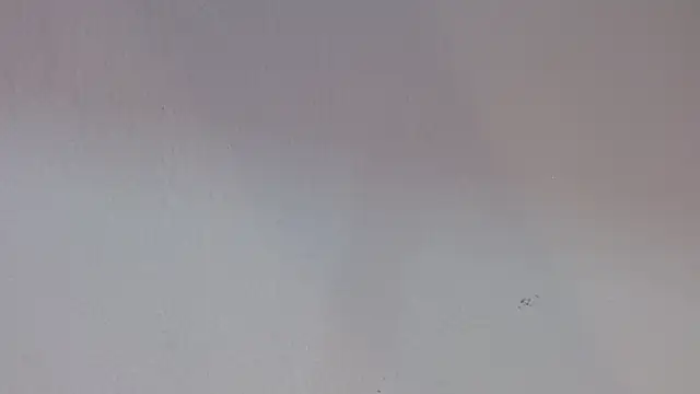 kiity horny  online show from September 30, 2025, 12:55 pm