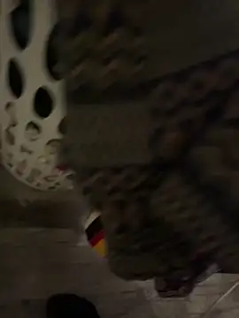 Snapshot of LanaAce719 chatting on December 18, 2025, 5:34 am LanaAce719 online show from December 18, 2025, 5:34 am