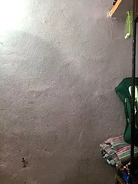 telugu pellam online show from February 24, 2026, 1:01 pm