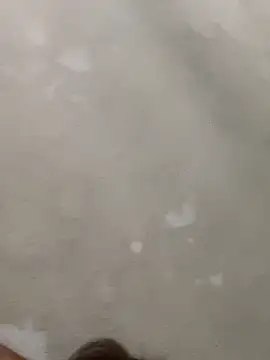 Snapshot of Doggy8668 chatting on March 3, 2026, 7:43 pm Doggy8668 online show from March 3, 2026, 7:43 pm