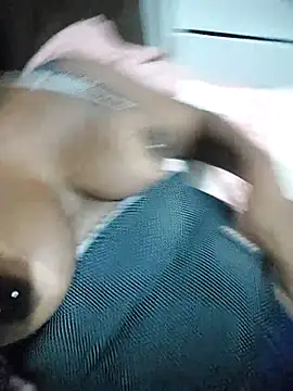 thamihravena online show from November 25, 2025, 2:45 am