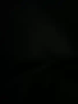 dogslavehf online show from April 26, 2026, 2:58 pm