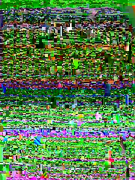 pitudo1313wuero online show from October 2, 2025, 10:02 pm