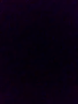 charlotte dante212 online show from October 2, 2025, 8:50 am