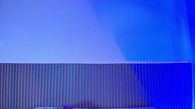 Alana 333 online show from February 17, 2026, 11:18 am