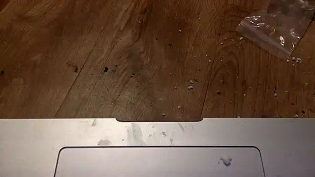 edger4lif3 online show from September 18, 2025, 4:15 am