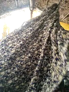 LUCKY cut online show from October 20, 2025, 3:08 am