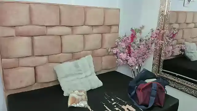 sharik noa online show from November 26, 2025, 7:25 pm